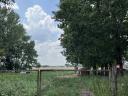 Pig farm for sale