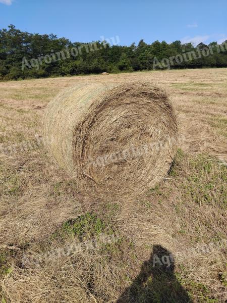 Round bale of meadow grass with second mowing