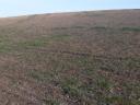 Arable land for sale