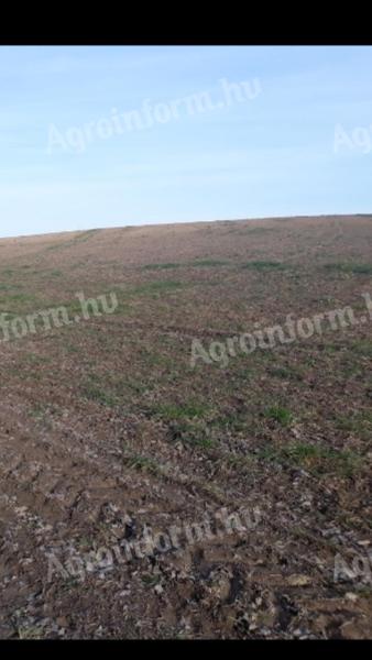 Arable land for sale