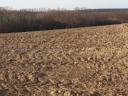 Arable land for sale