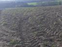 Arable land for sale