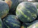 Zu verkaufen auf dem Melonenland in Medgyes