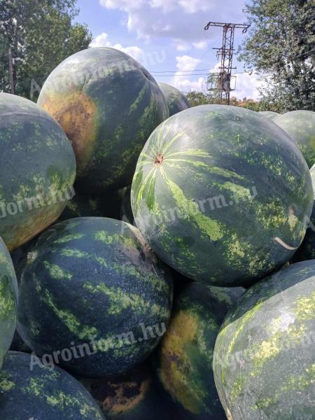 For sale from the Melon land in Medgyes