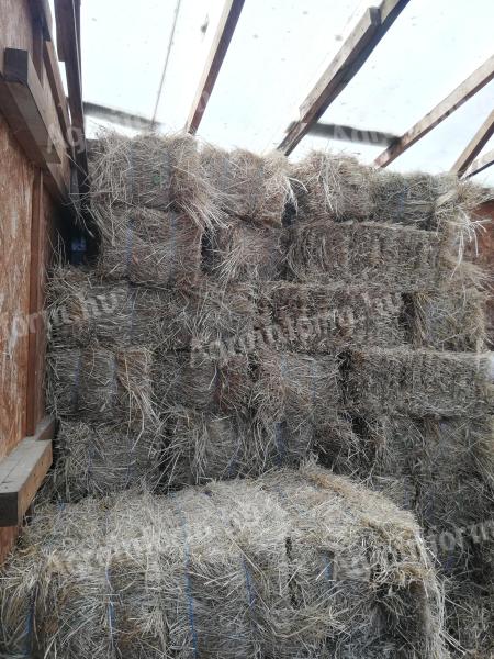 Hay-straw small cube bales for sale