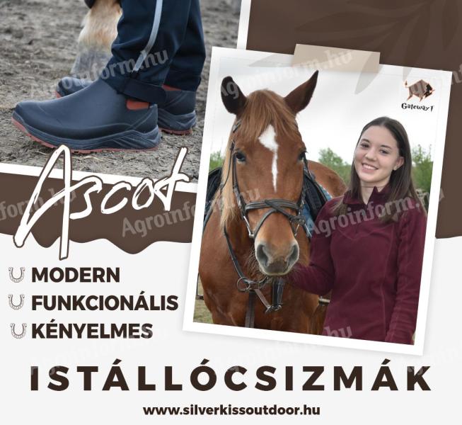 Ascot - Stable Boots