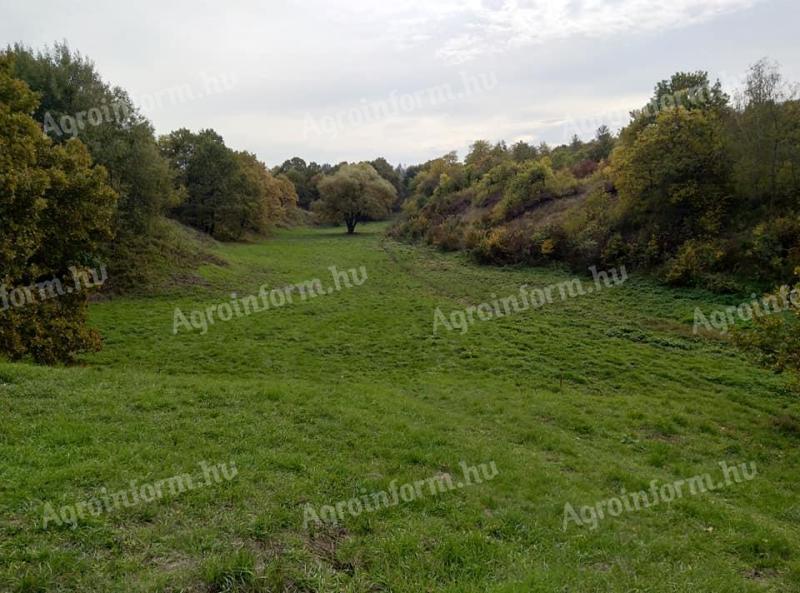 Egerben,  a centrumtól 5 percre,  kb. 10 hektár legelő egyben,  tanyának,  rancsnak eladó