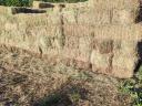 Small bales of alfalfa for sale
