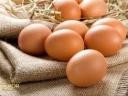 Free-range poultry eggs