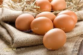 Jaja peradi iz slobodnog uzgoja