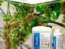 Scudo is a special foliar fertilizer based on amino acids and gluconic acids