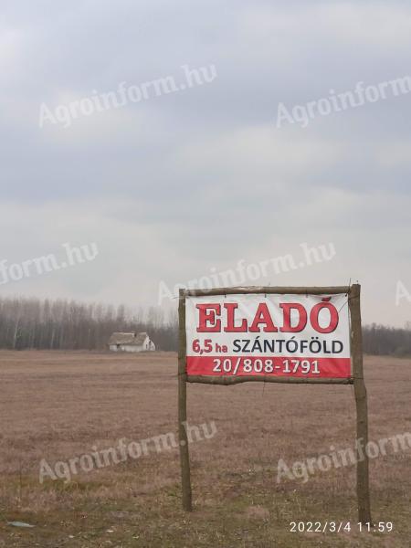 6.5 hectares of subsidized agricultural land for sale with a farm site on the border of Baja