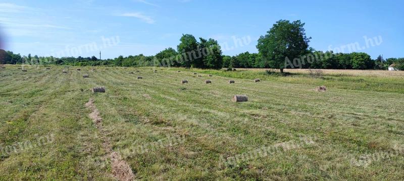 Baling coal