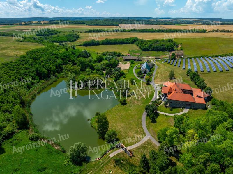 7,77 hektáros önellátó birtok Siófok mellett,  a Balatontól mindössze 5 km-re