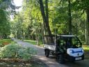 Polaris Goupil G4 elektromos kisteherautó