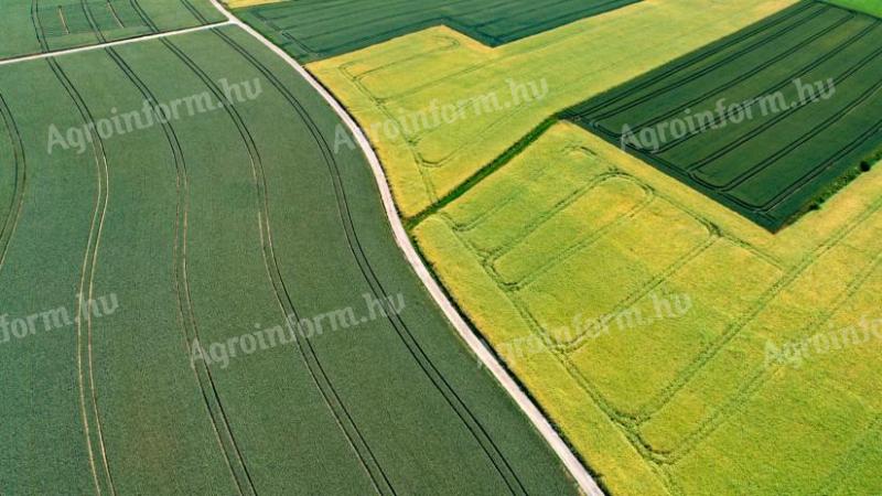 Polje za prodajo v Regöly, Tolminska županija