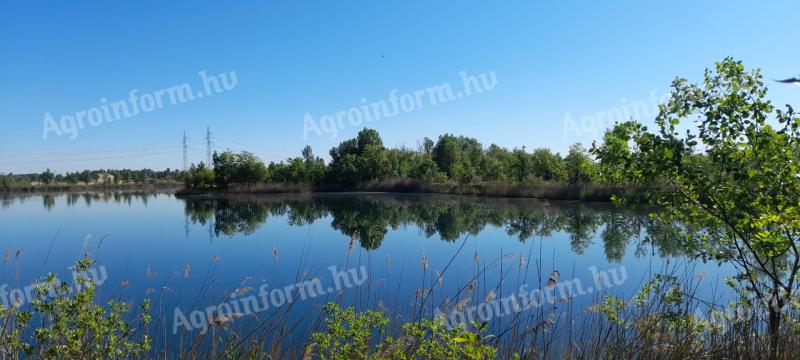 Na sprzedaż w Majosháza działka górnicza i gruntowa