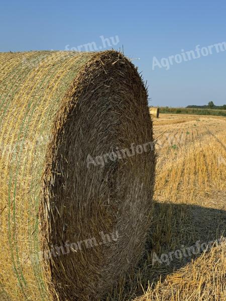 Słoma pszenna na sprzedaż