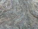 Good quality hay for sale