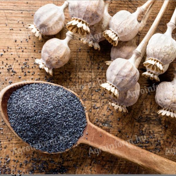 Edible poppy seeds