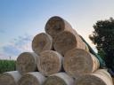 Lucerna hay for sale