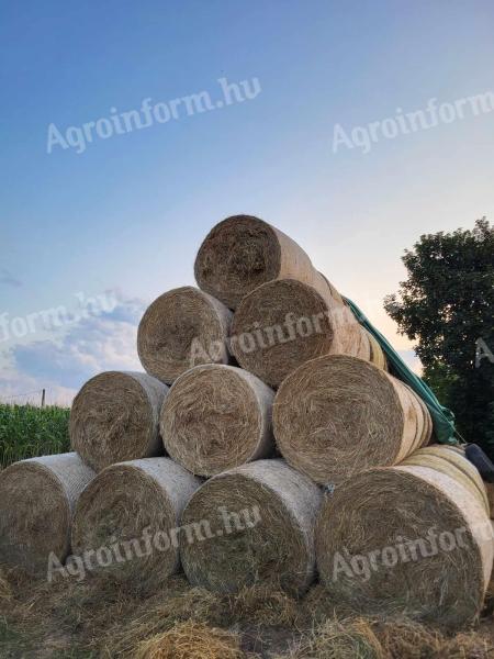 Lucerna hay for sale