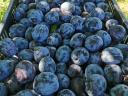 Large quantities of plums for sale