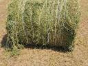 Alfalfa and hay bales for sale