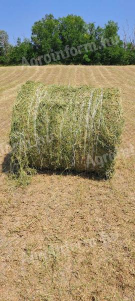 Alfalfa and hay bales for sale