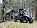 Hisun Vector E1 4WD Electric UTV with All Wheel Drive