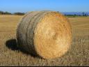 Wheat straw bale