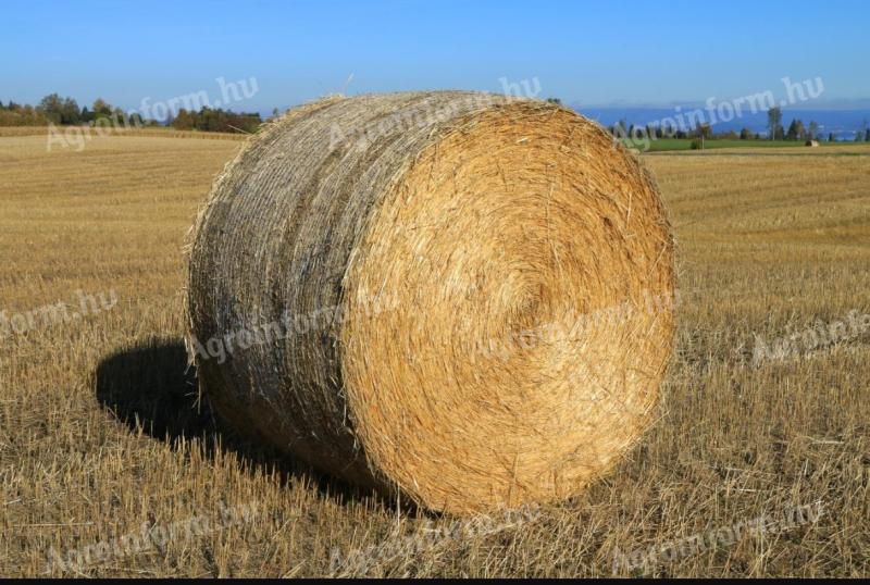 Wheat straw bale