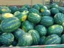 Watermelon for sale