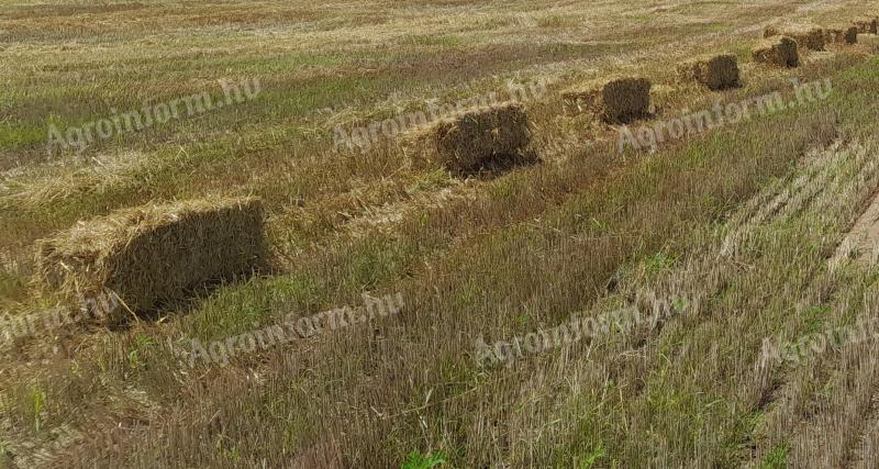 Grain straw for sale