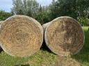 Alfalfa bales for sale