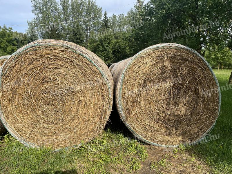 Alfalfa bales for sale