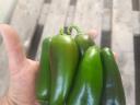 Jalapeño peppers