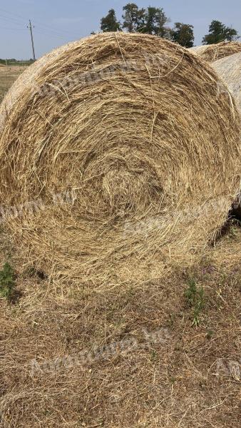 Heuballen zu verkaufen