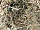 Alfalfa bale for sale