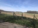 For sale 9 ha of arable land in Petneházán, next to an asphalt road