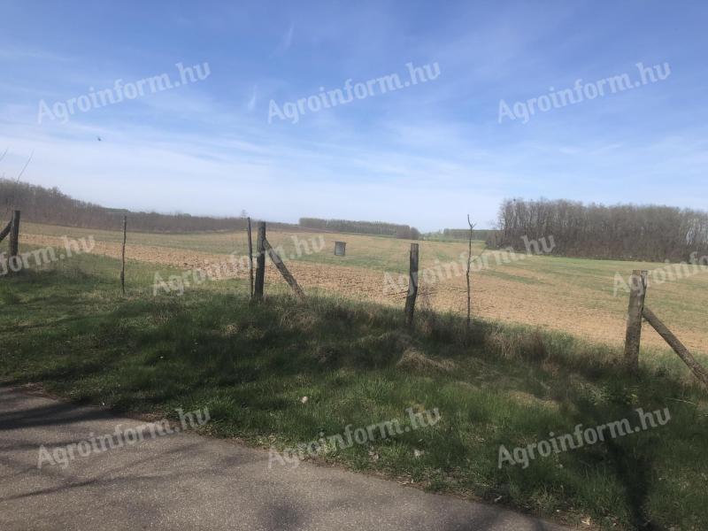 Zu verkaufen in Petneháza, 9 Hektar Ackerland in EINEM, neben einer Asphaltstraße