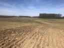 For sale 9 ha of arable land in Petneházán, next to an asphalt road