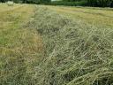 I am looking for the best quality hay