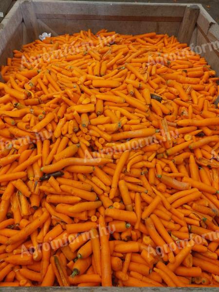 Carrots for sale