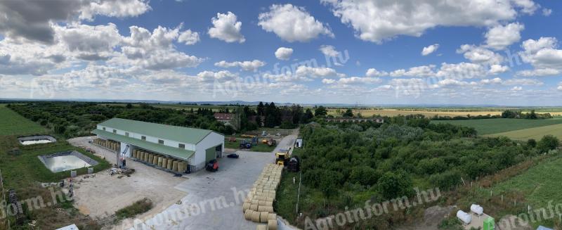 Crop technician loc de muncă în Veneția