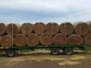 Round bale hay for sale