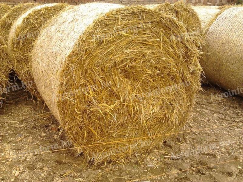 Straw bales, wheat straw for sale