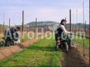 Vineyard pruning cart with hands-free steering system - Rocky One Freehands