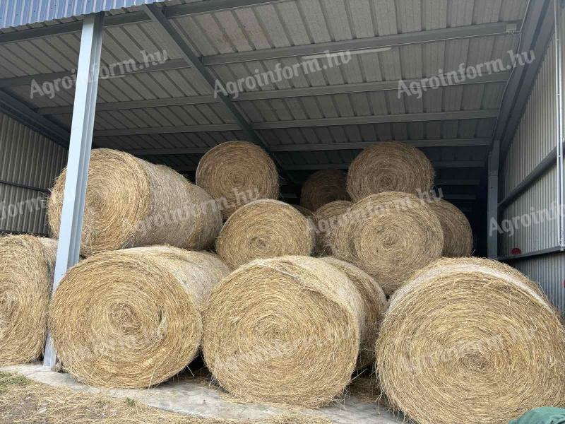 Round grass hay, hay bale 2024