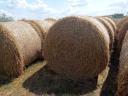 Straw bale for sale